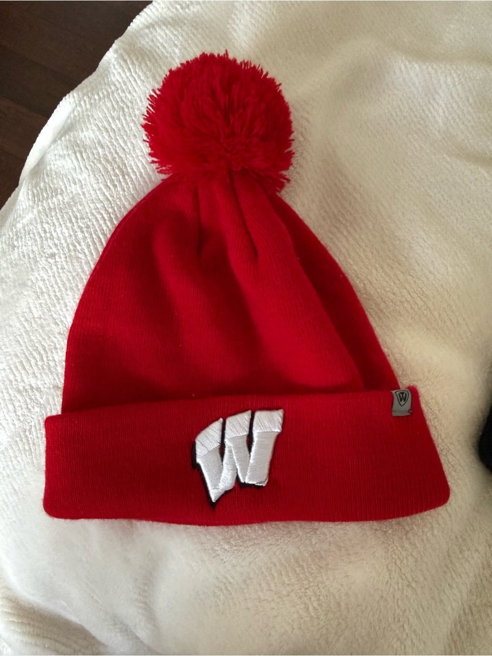 Wisconsin beanie